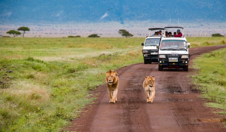 4 DAYS LUXURIOUS GAME DRIVE AT MASAI MARA