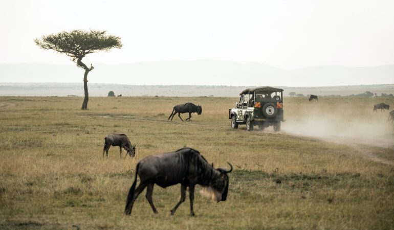 10 DAYS SEMI -LUXURIOUS AND SCENIC KENYA SAFARI
