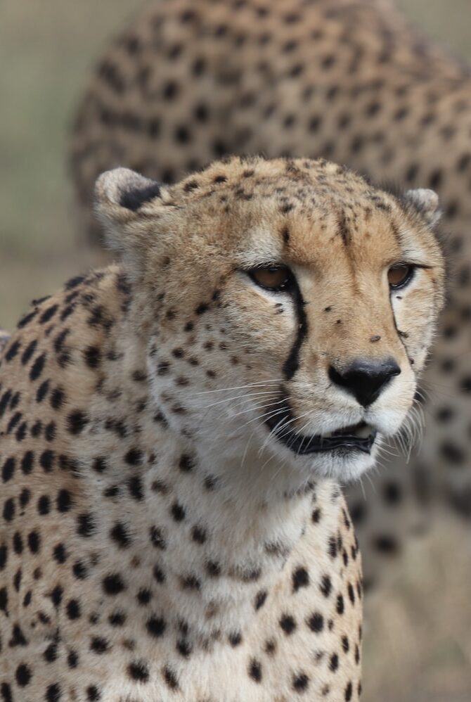 henrik-hansen-3bdHrU06YoQ-unsplash