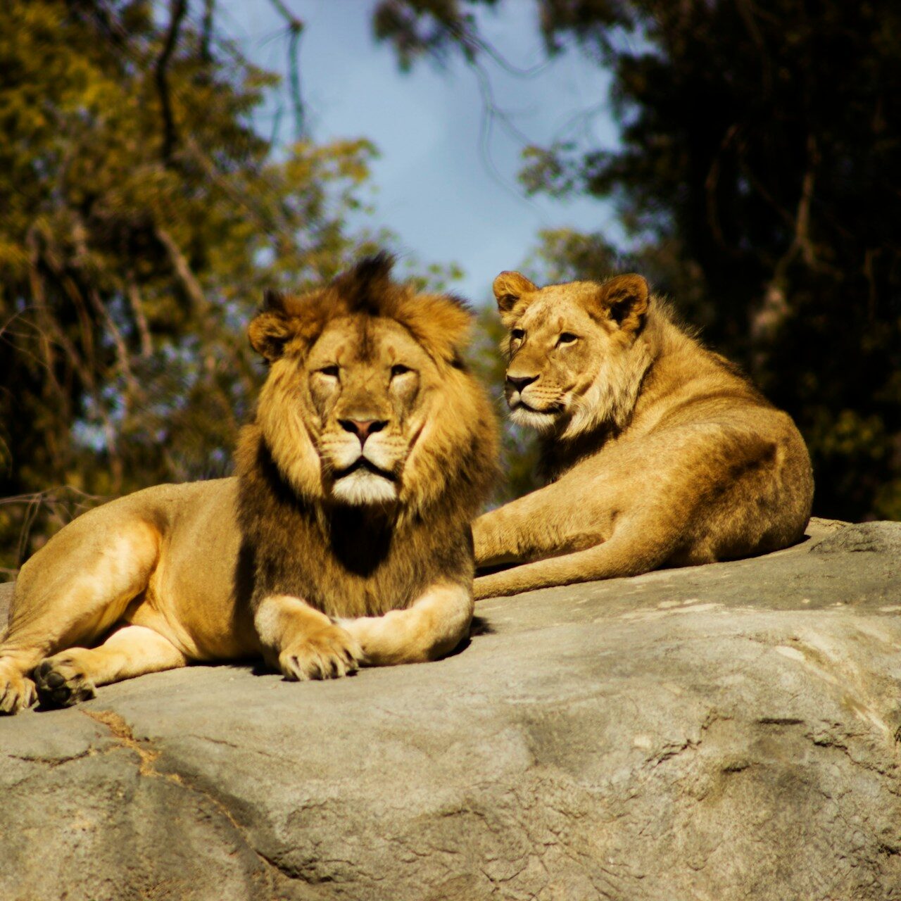 jeremy-avery-hht33rAqHi8-unsplash (1)