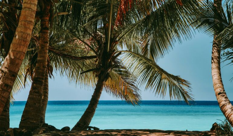 7 DAYS LUXURIOUS SAFARI SERENITY AND BEACH BLISS