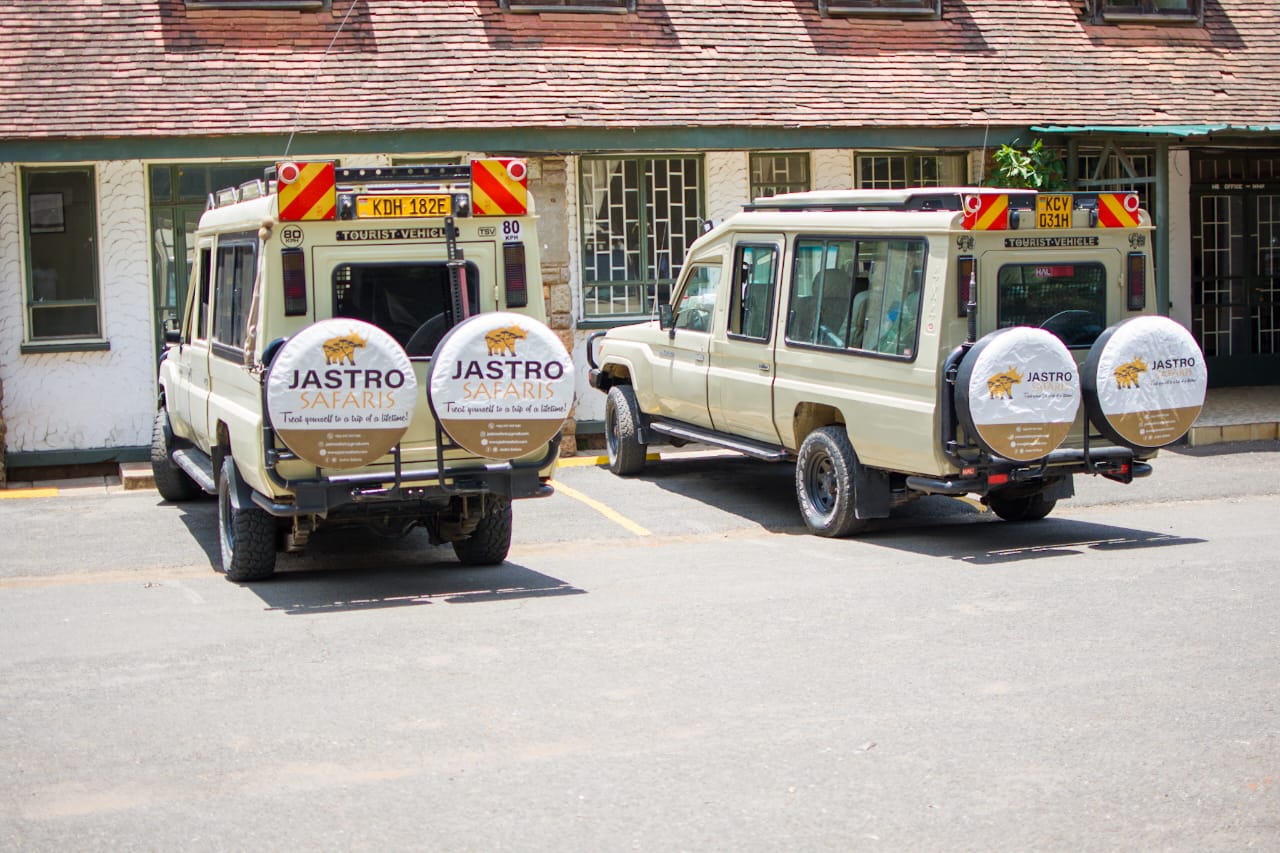 WhatsApp Image 2025-04-30 at 11.25.57