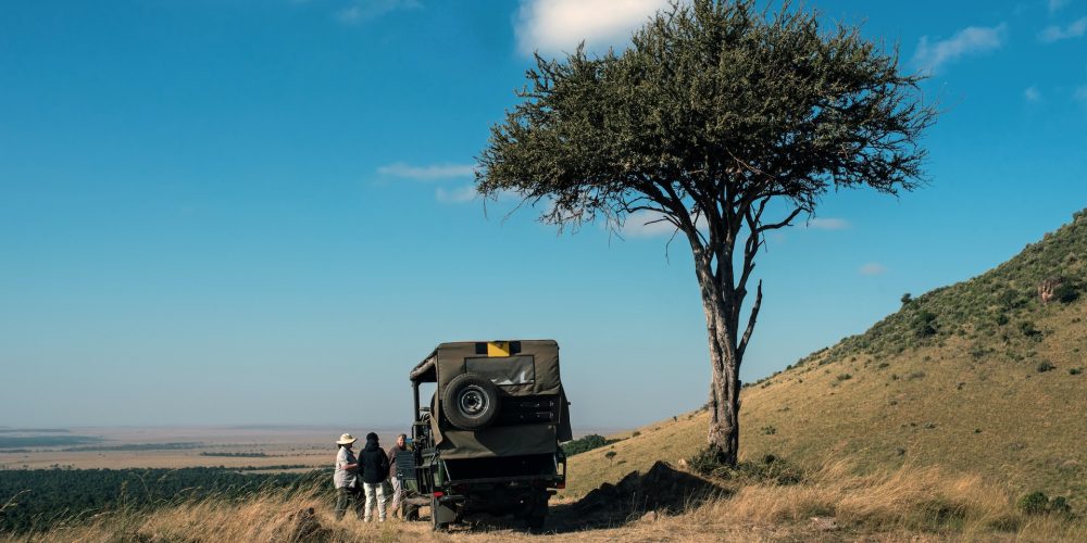 david-clode-Wa1zZ70As9o-unsplash