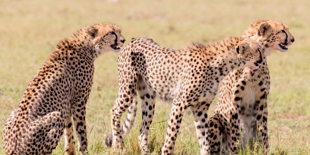 hari-nandakumar-Fv2MlmIiFG8-unsplash