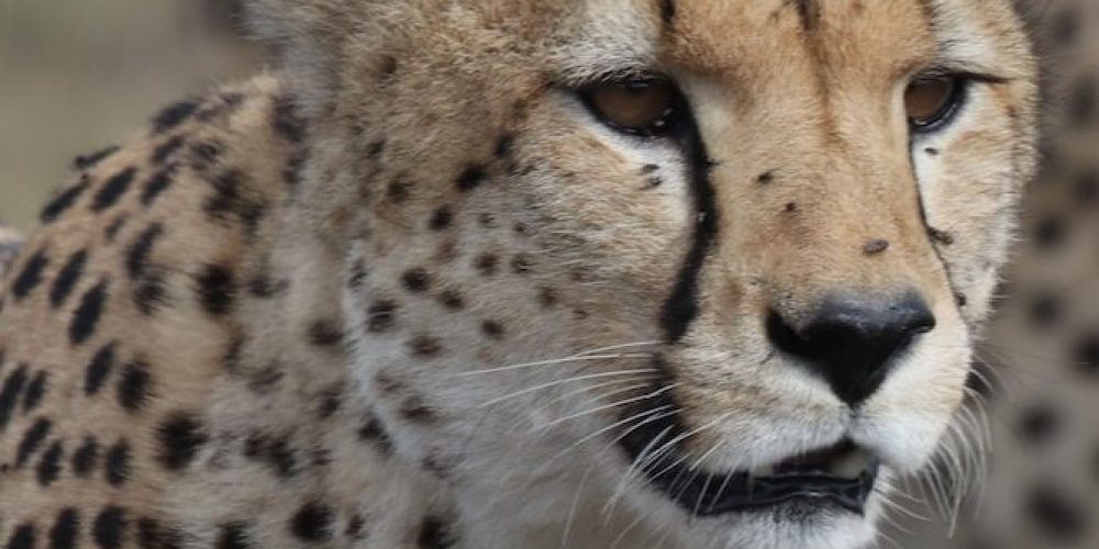 henrik-hansen-3bdHrU06YoQ-unsplash